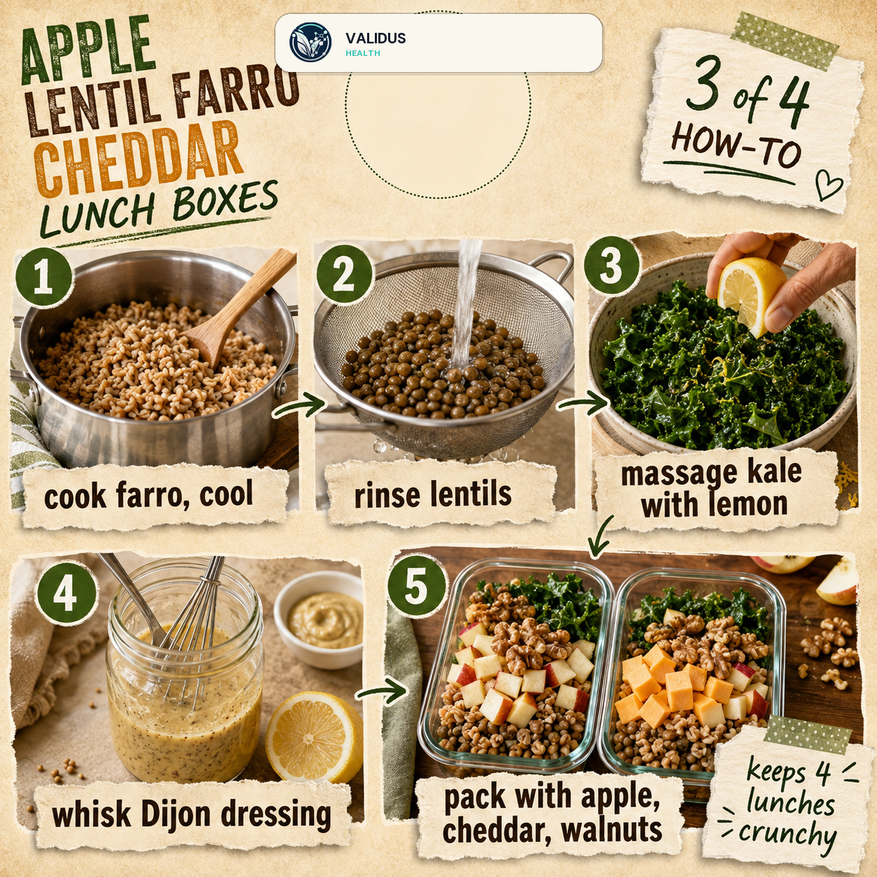 Apple Lentil Farro Cheddar Lunch Boxes slide 3