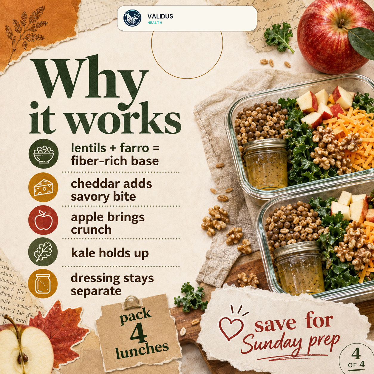 Apple Lentil Farro Cheddar Lunch Boxes slide 4